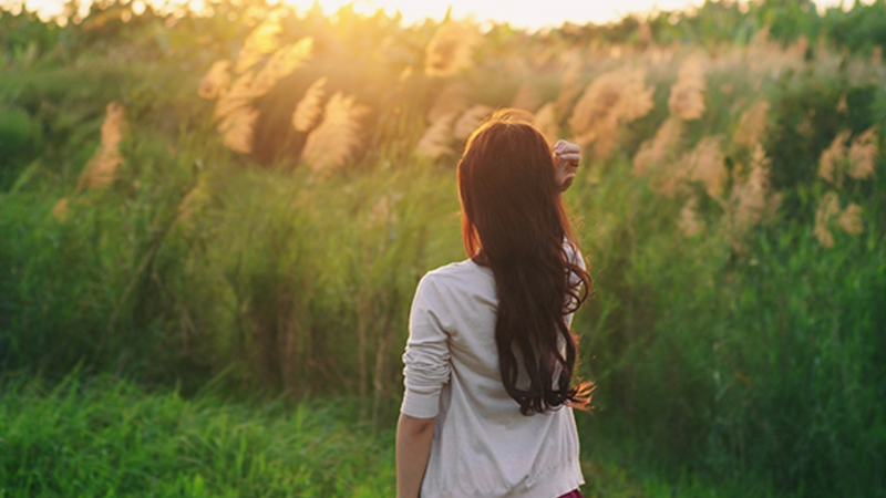 &Aacute;nh s&aacute;ng l&agrave; yếu tố quan trọng cho một bức ảnh đẹp